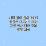 예비 엄마 필독! 2025 임산부 오메가3 효능 완전 정복 (태아 두뇌 발달 핵심)