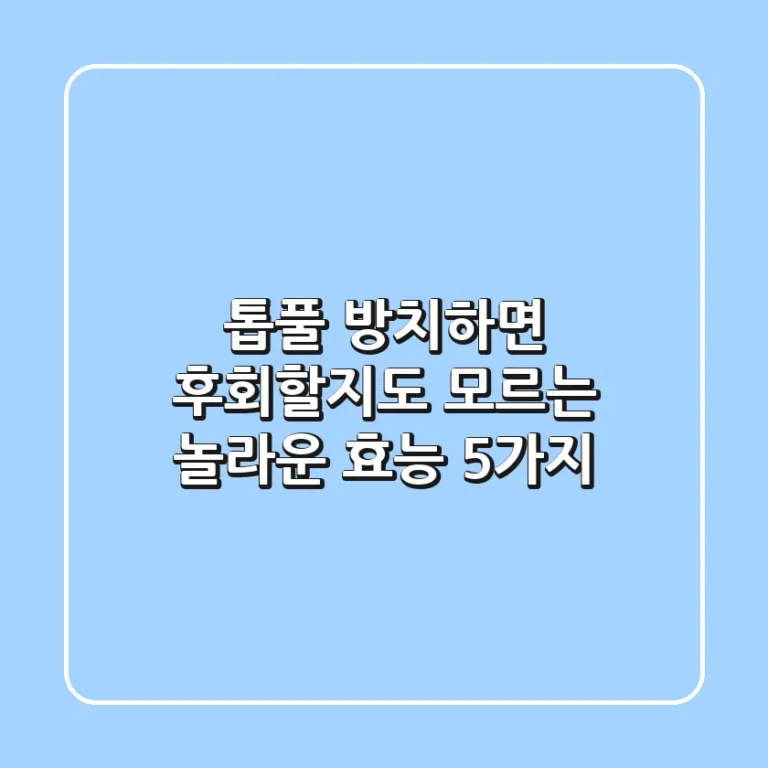 톱풀, 방치하면 후회할지도 모르는 놀라운 효능 5가지