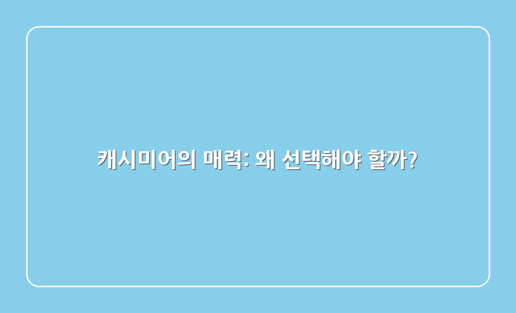 캐시미어의 매력: 왜 선택해야 할까?