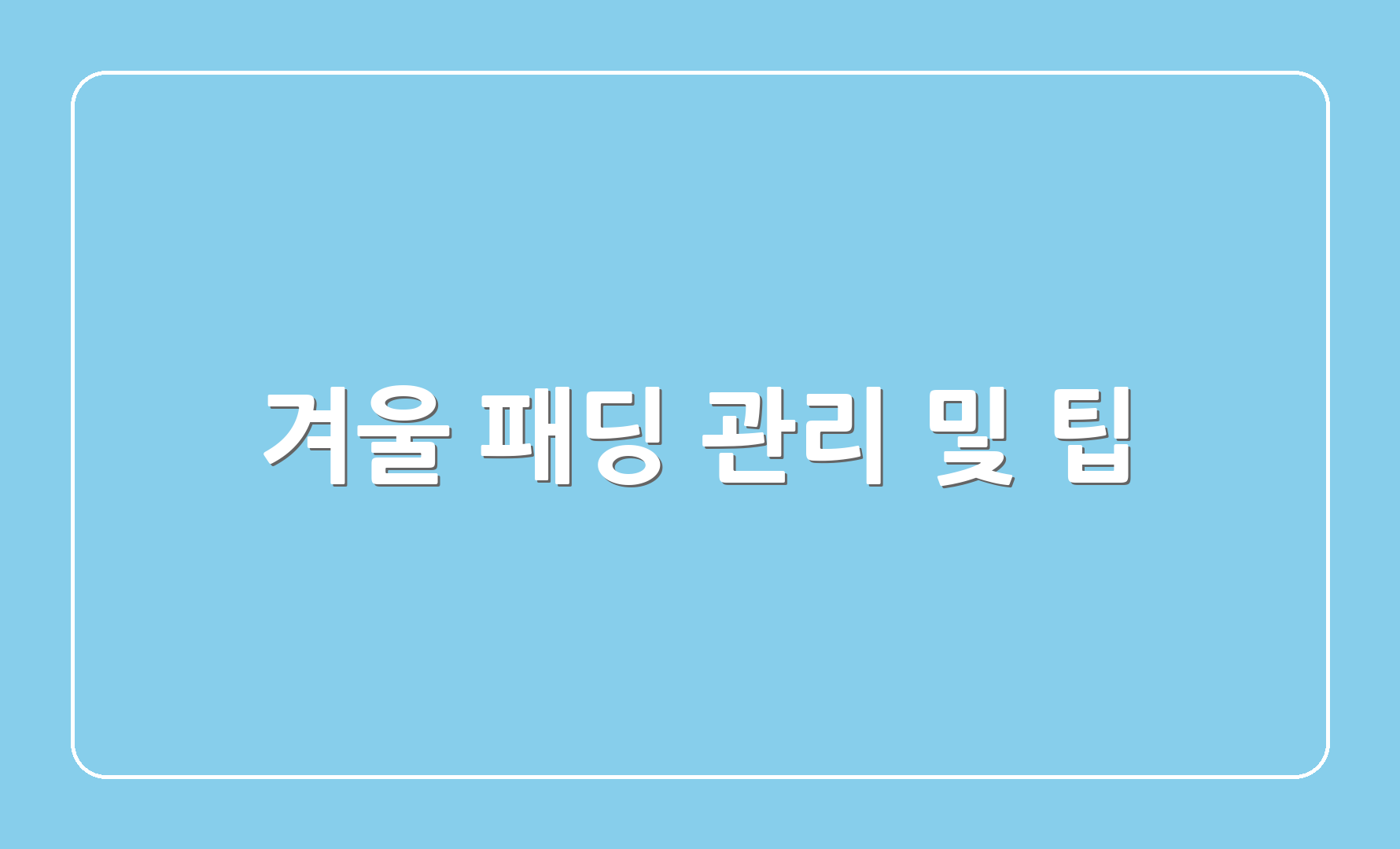 겨울 패딩 관리 및 팁