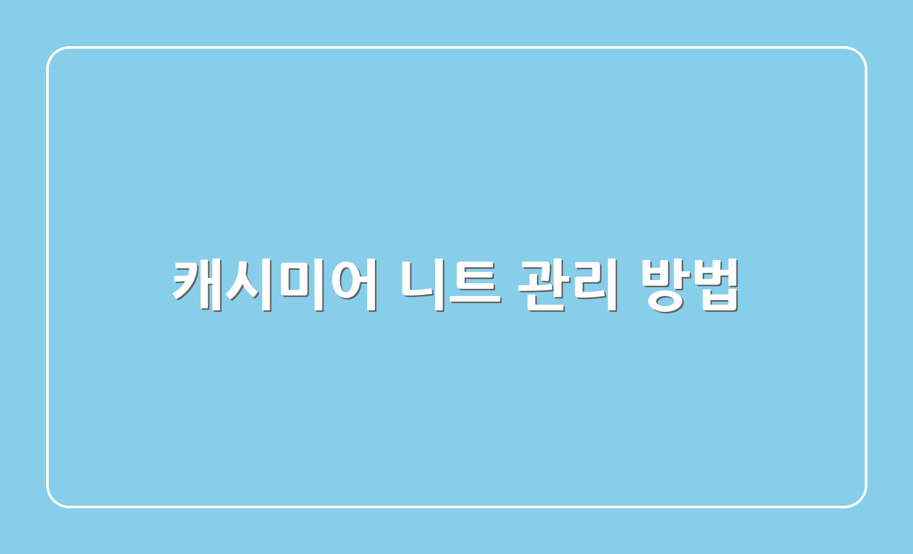 캐시미어 니트 관리 방법