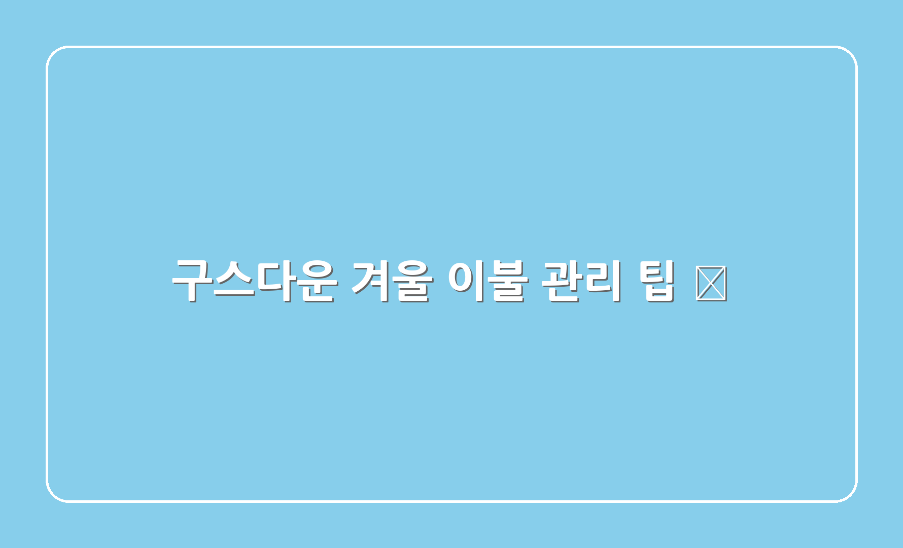 구스다운 겨울 이불 관리 팁 🧺