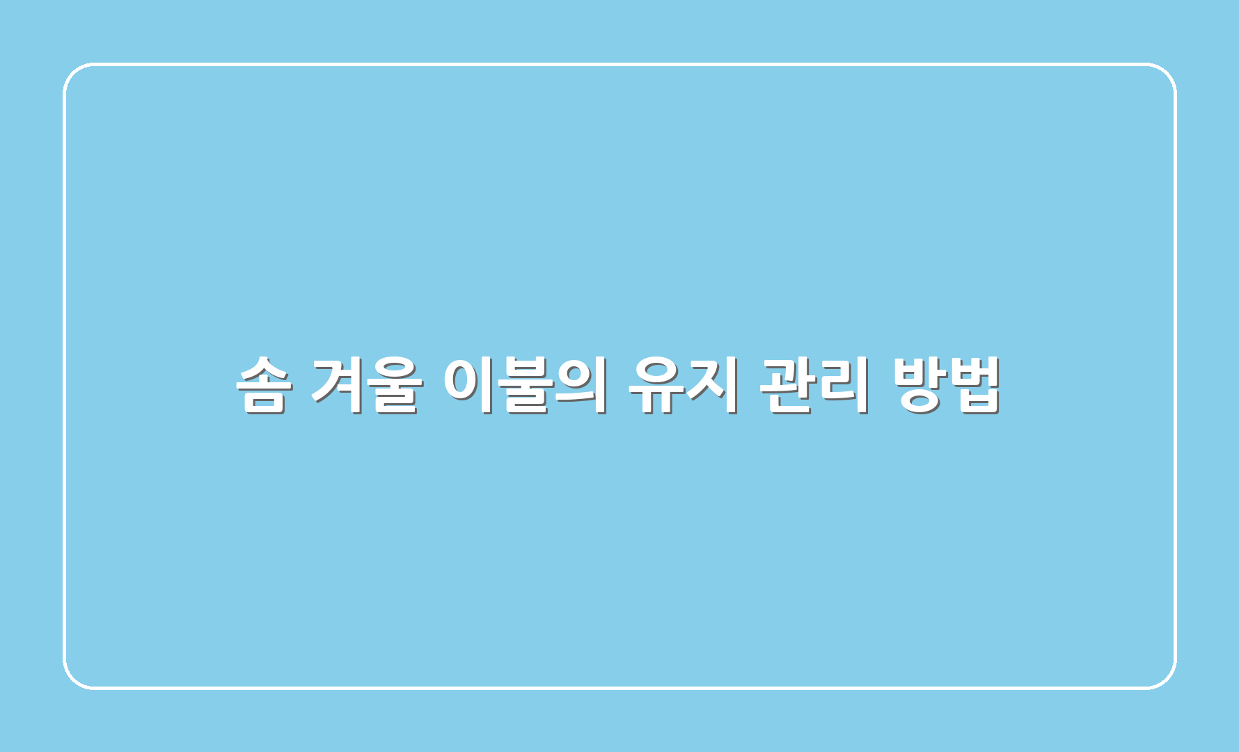 솜 겨울 이불의 유지 관리 방법