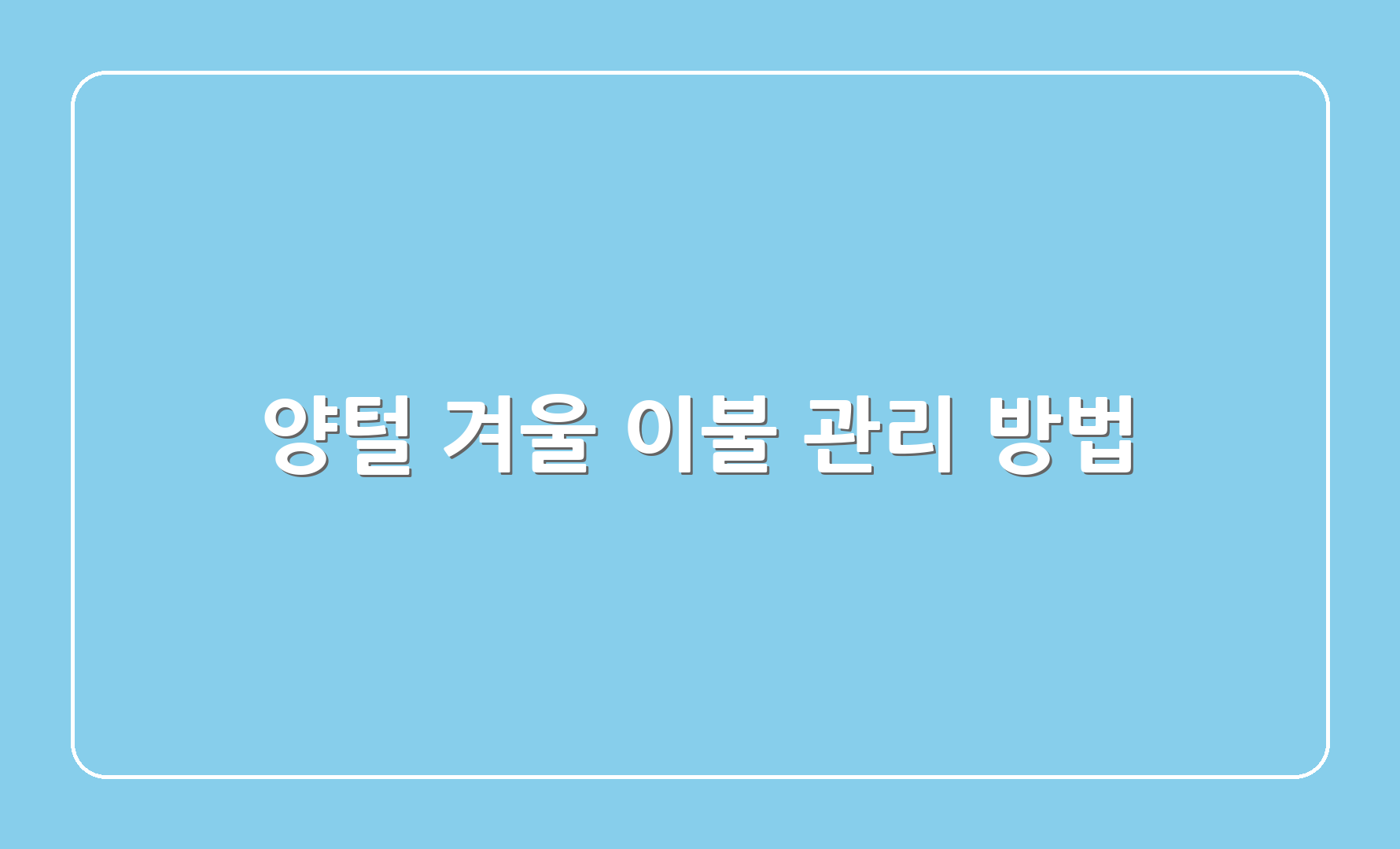 양털 겨울 이불 관리 방법