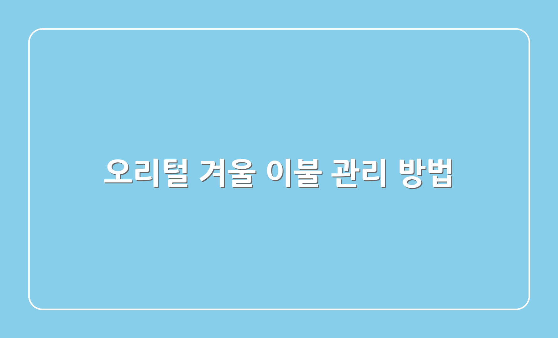 오리털 겨울 이불 관리 방법