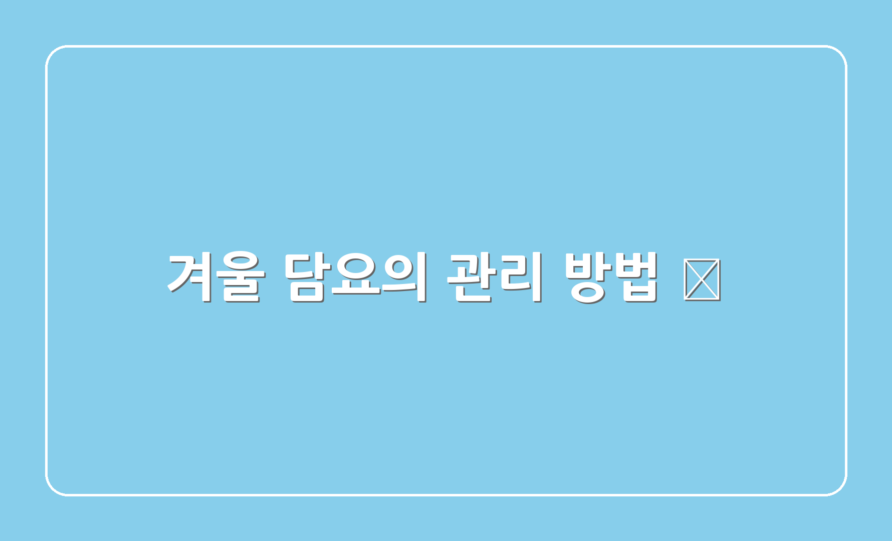 겨울 담요의 관리 방법 🧺