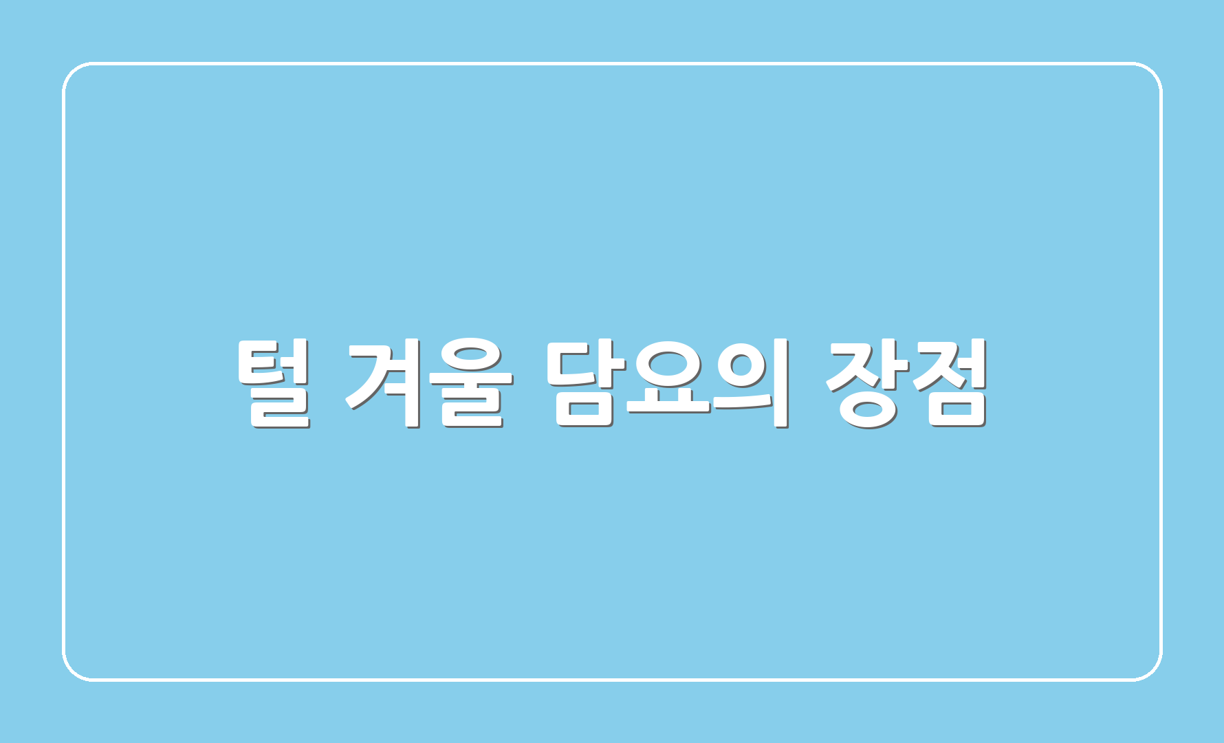 털 겨울 담요의 장점