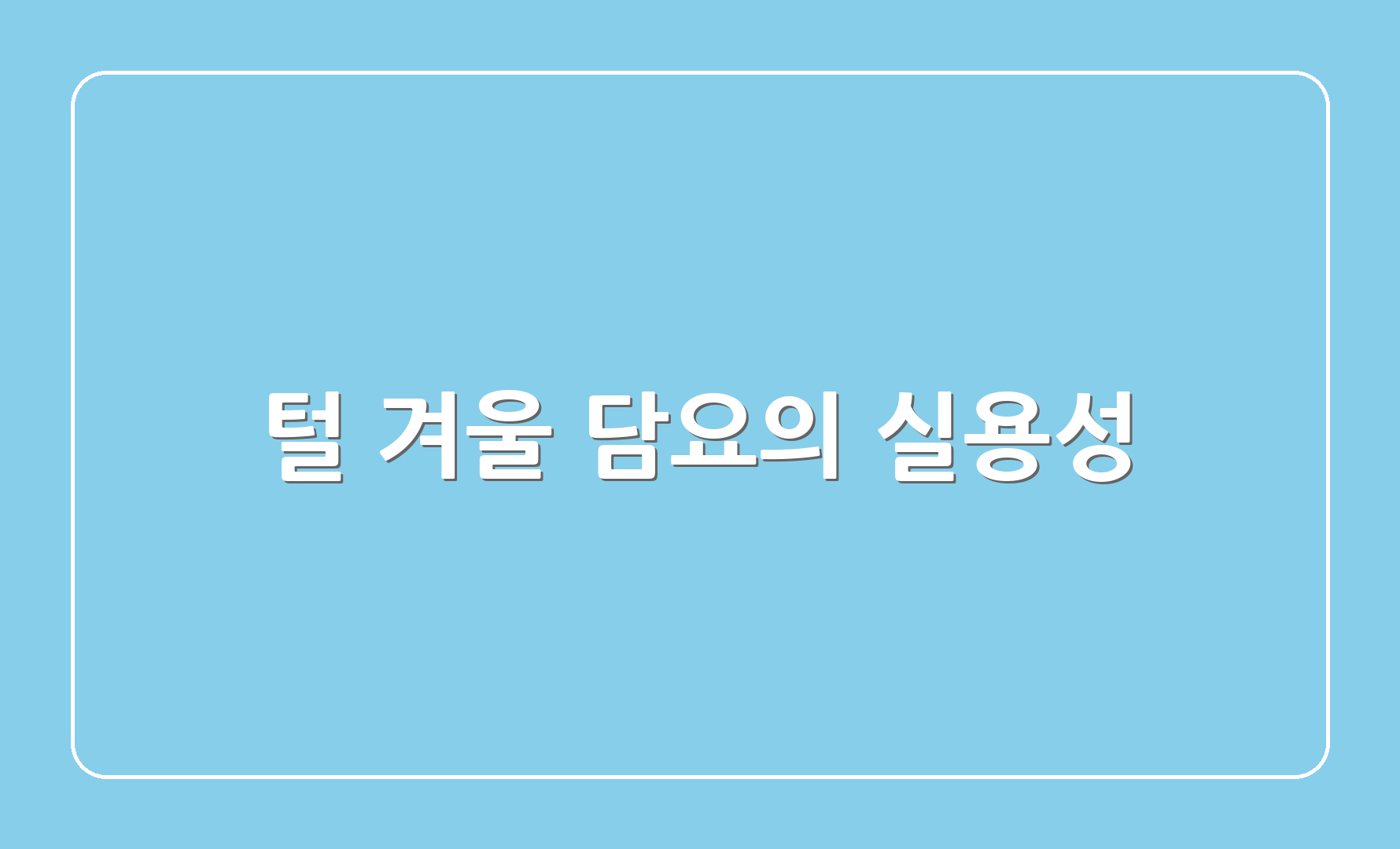 털 겨울 담요의 실용성