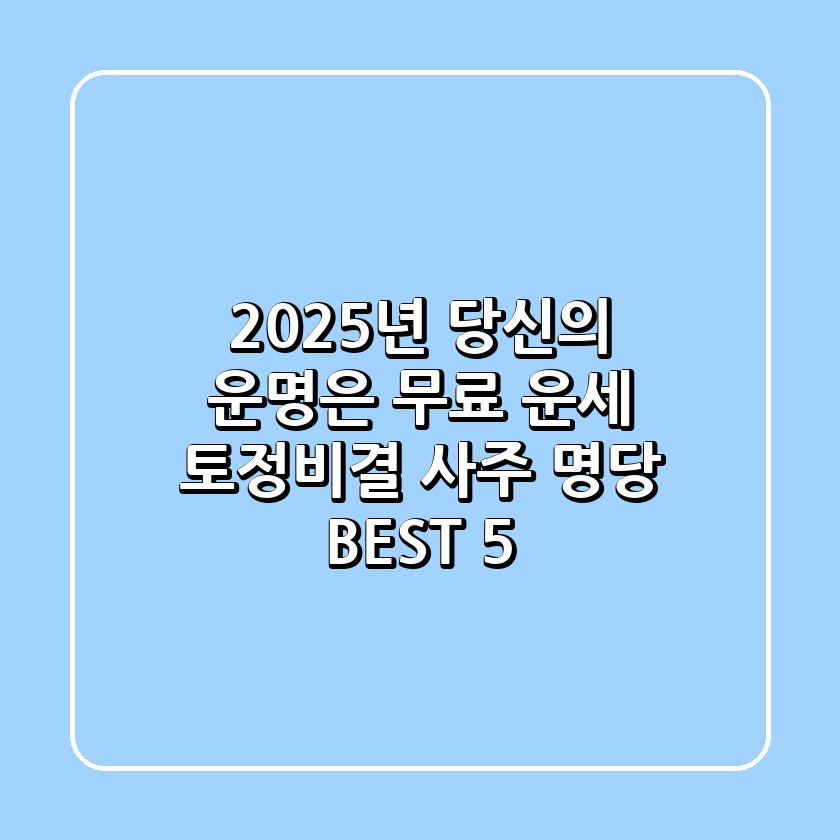 2025년, 당신의 운명은? 무료 운세, 토정비결, 사주 명당 BEST 5