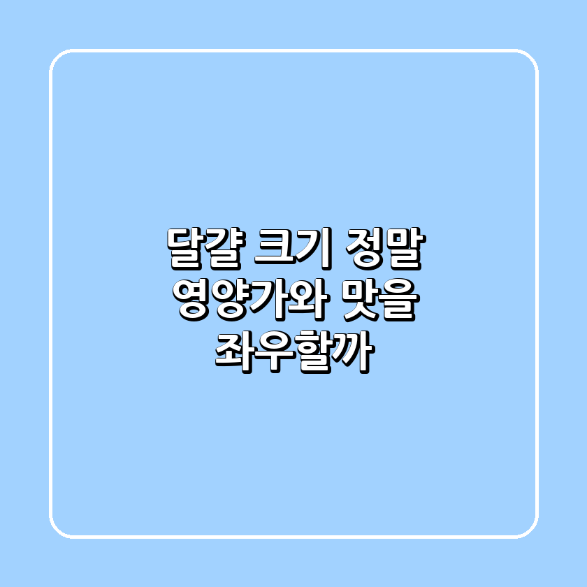 달걀 크기, 정말 영양가와 맛을 좌우할까?