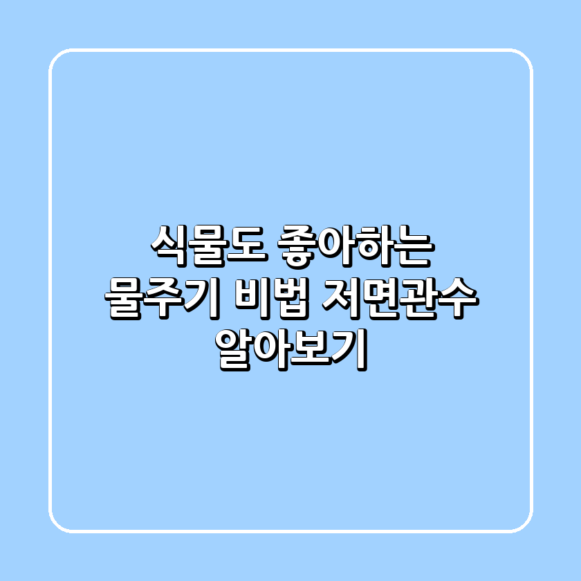 식물도 좋아하는 물주기 비법, '저면관수' 알아보기