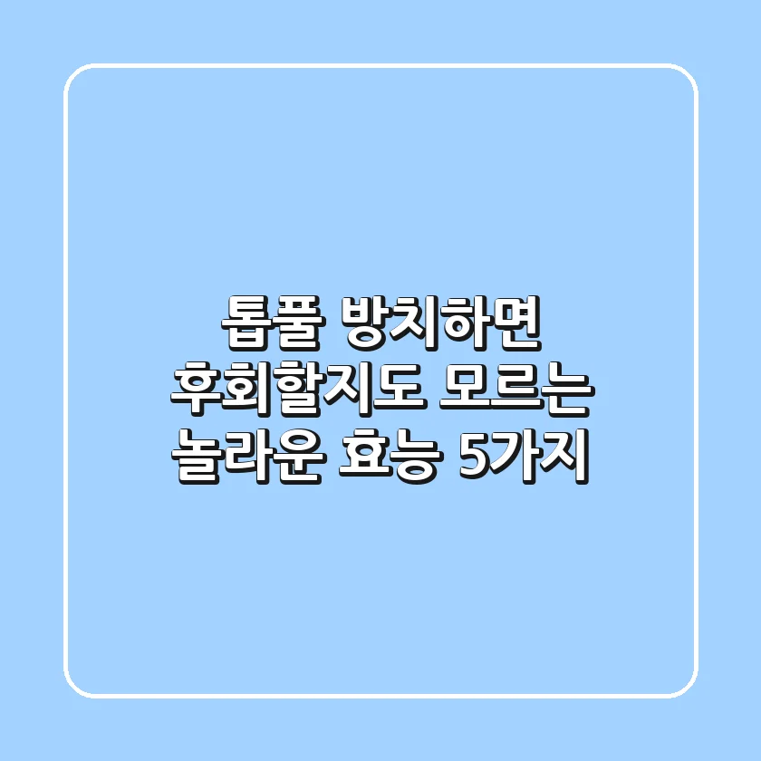 톱풀, 방치하면 후회할지도 모르는 놀라운 효능 5가지