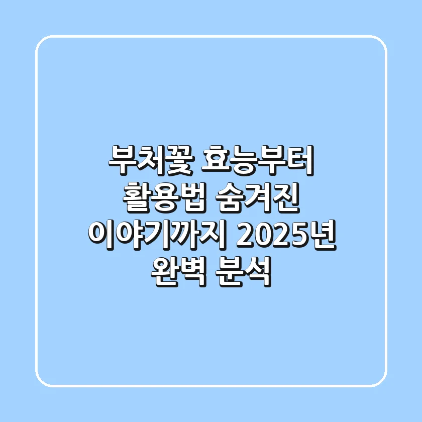 부처꽃 효능부터 활용법, 숨겨진 이야기까지! 2025년 완벽 분석