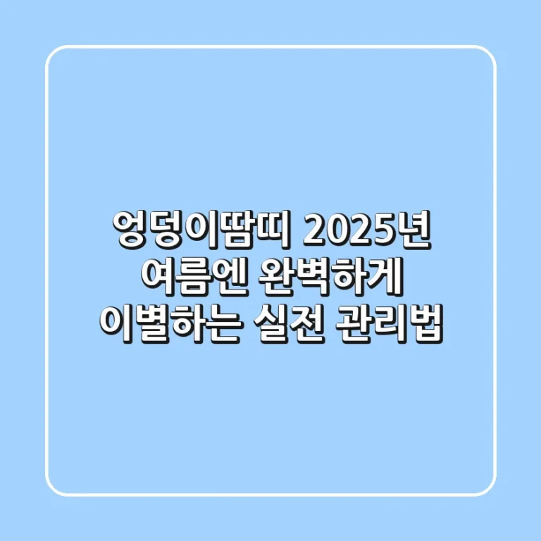 엉덩이땀띠, 2025년 여름엔 완벽하게 이별하는 실전 관리법