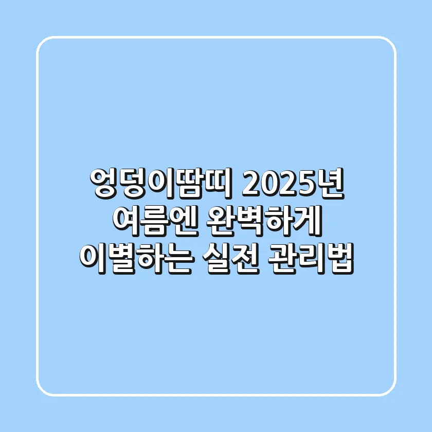 엉덩이땀띠, 2025년 여름엔 완벽하게 이별하는 실전 관리법