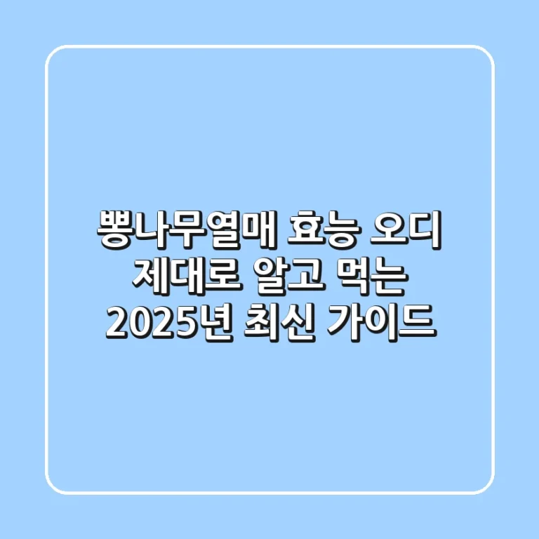 뽕나무열매 효능, 오디 제대로 알고 먹는 2025년 최신 가이드
