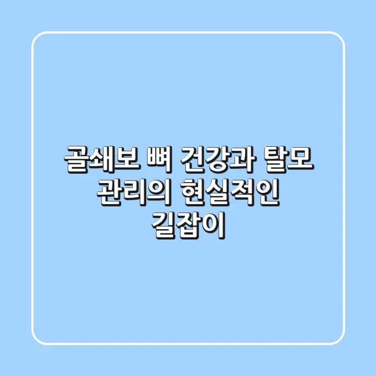 골쇄보, 뼈 건강과 탈모 관리의 현실적인 길잡이
