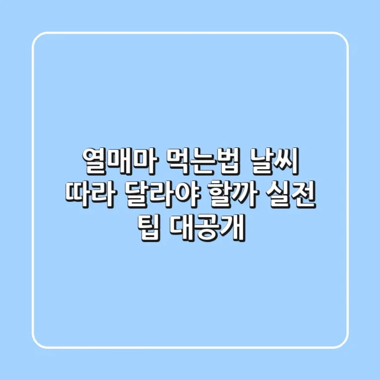 열매마 먹는법, 날씨 따라 달라야 할까? 실전 팁 대공개!