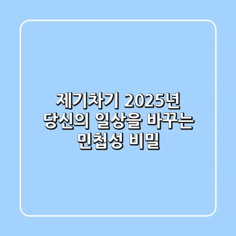 제기차기, 2025년 당신의 일상을 바꾸는 민첩성 비밀!