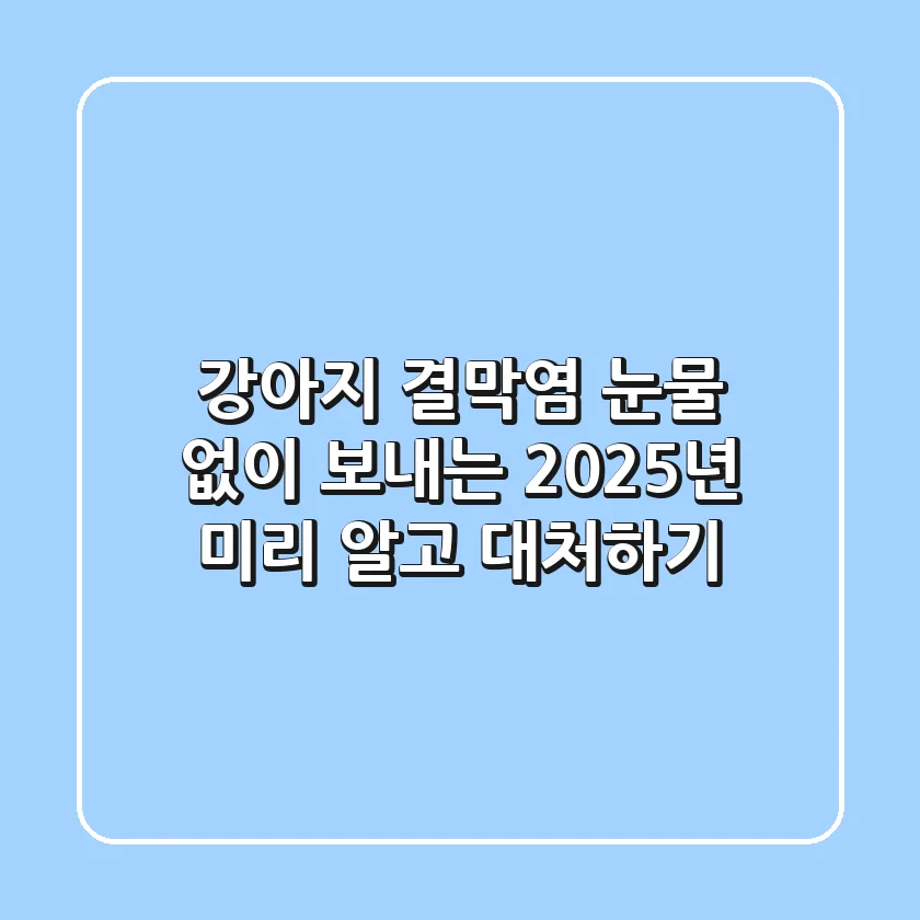 강아지 결막염: 눈물 없이 보내는 2025년, 미리 알고 대처하기