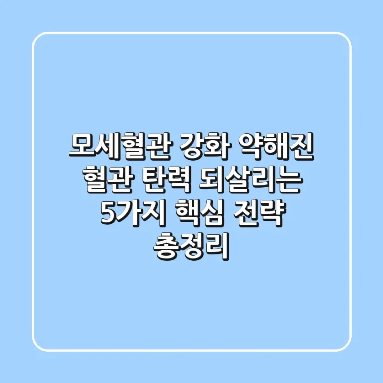 모세혈관 강화, 약해진 혈관 탄력 되살리는 5가지 핵심 전략 총정리