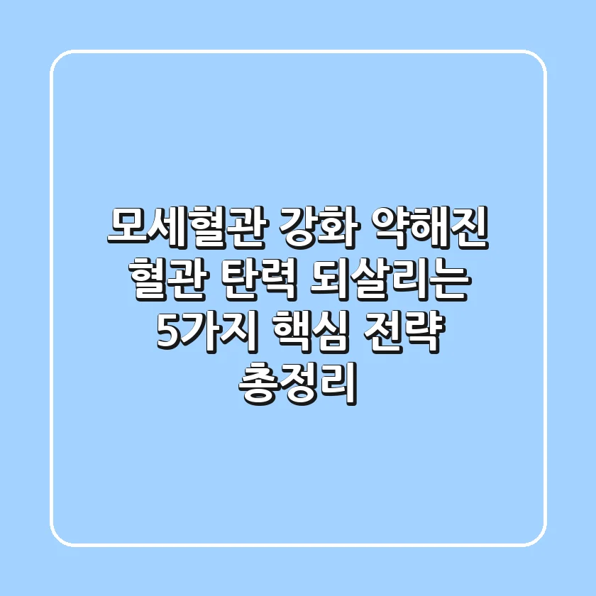 모세혈관 강화, 약해진 혈관 탄력 되살리는 5가지 핵심 전략 총정리