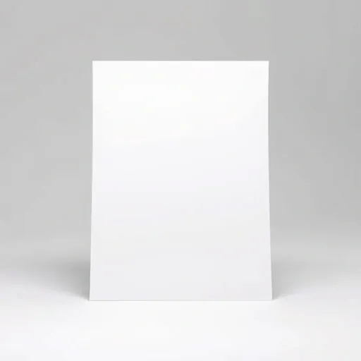 성장 단계별 맞춤 급여 전략: 고양이 오버도즈 위험 피하기