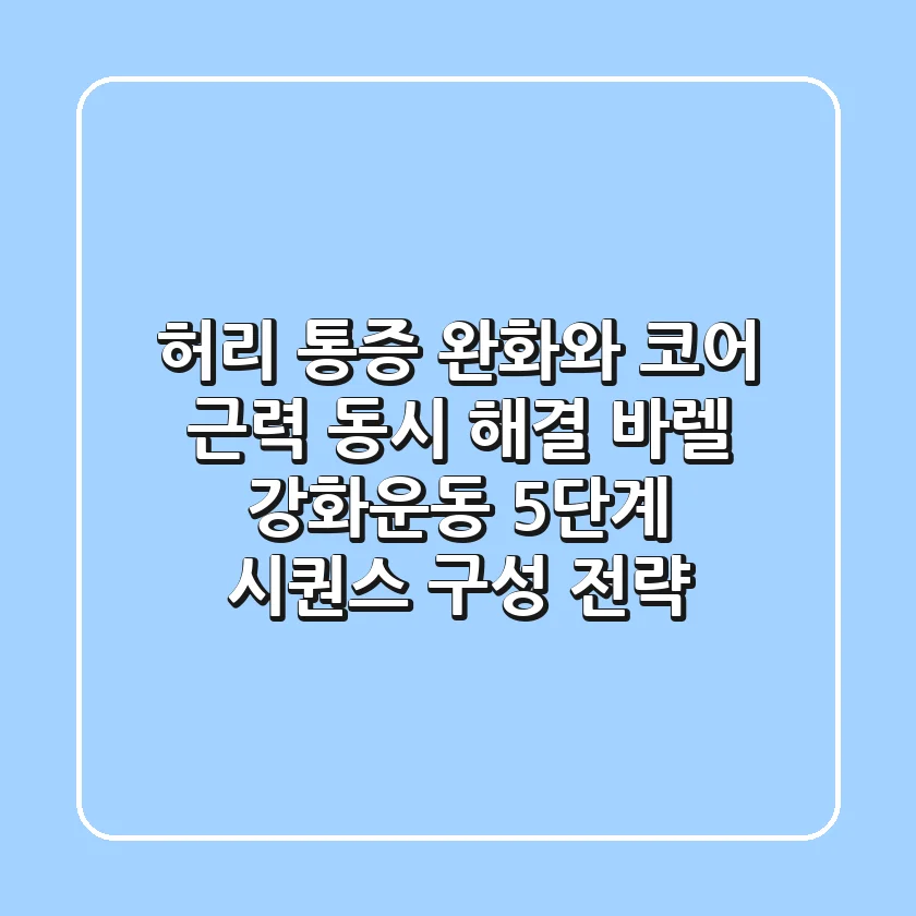 허리 통증 완화와 코어 근력 동시 해결, 바렐 강화운동 5단계 시퀀스 구성 전략